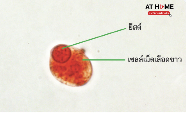 image-2-physical-science.