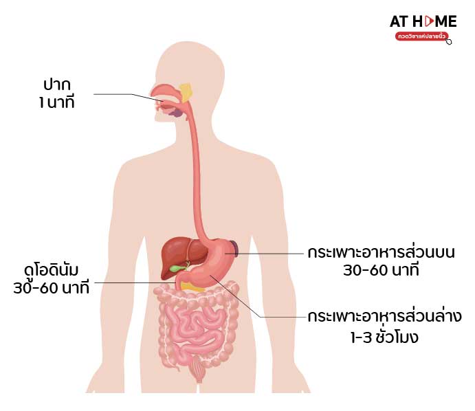 image-3-Science-Grade-5
